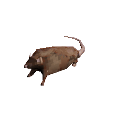 rat-spinning